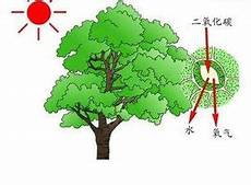 广东高考平均分广东高考平均分,今年广东高考数学平均分仅52