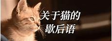 关于中秋节的成语
