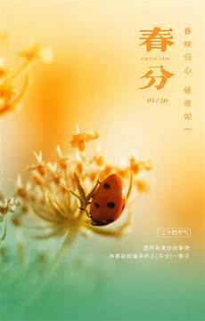 广州中,广州中考数学 考数学,平面直角坐标系xOy中